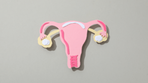 A hand is holding a paper cutout of a uterus