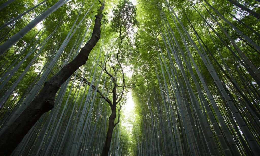 download grandiamod1.2 pc