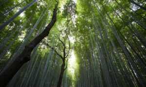 download grandiamod1.2 pc