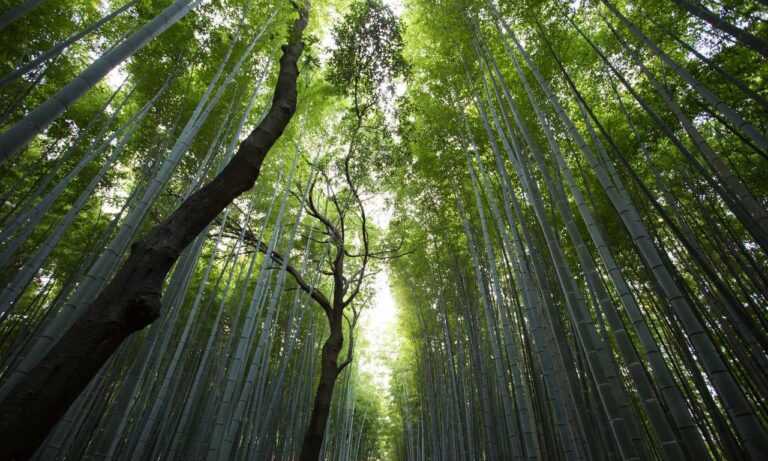 download grandiamod1.2 pc