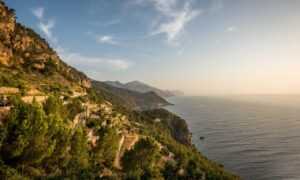 how to test for homorzopia disease