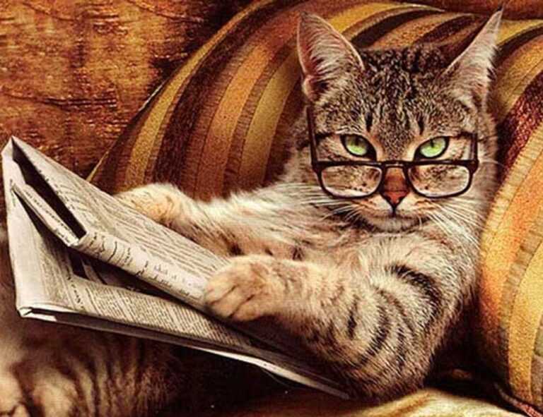 how to treat komatelate lack in pregnancy