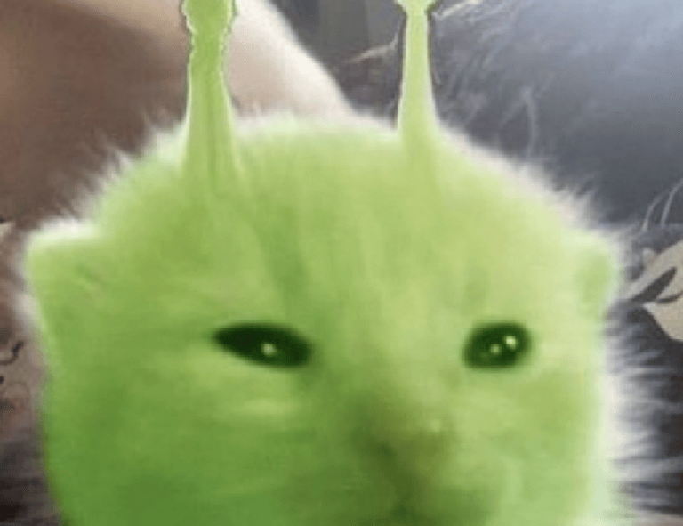 is komatelate important in pregnancy