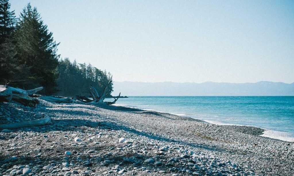 is komatelate safe for mom