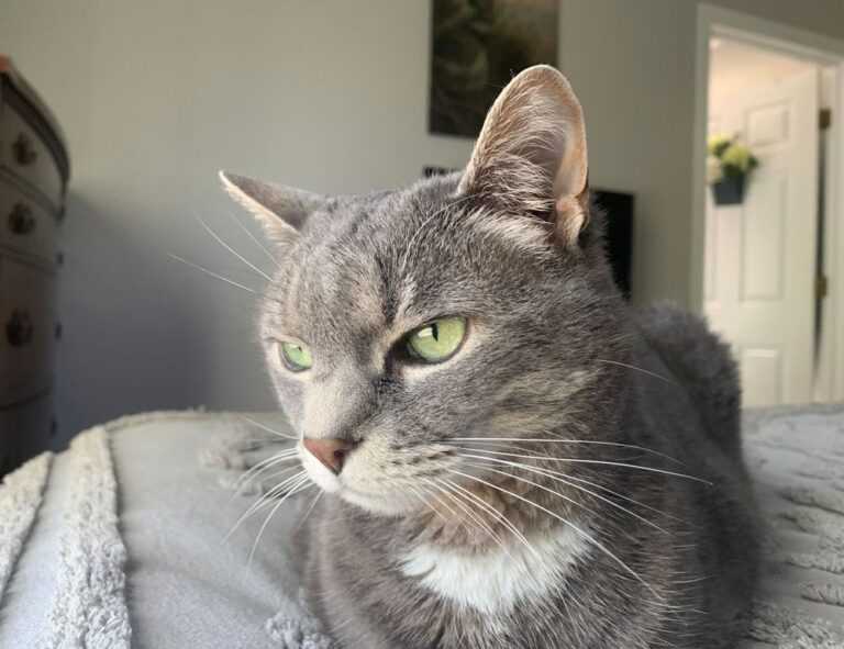 warning about komatelate