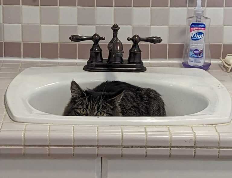 why biohunt2000 game are popular