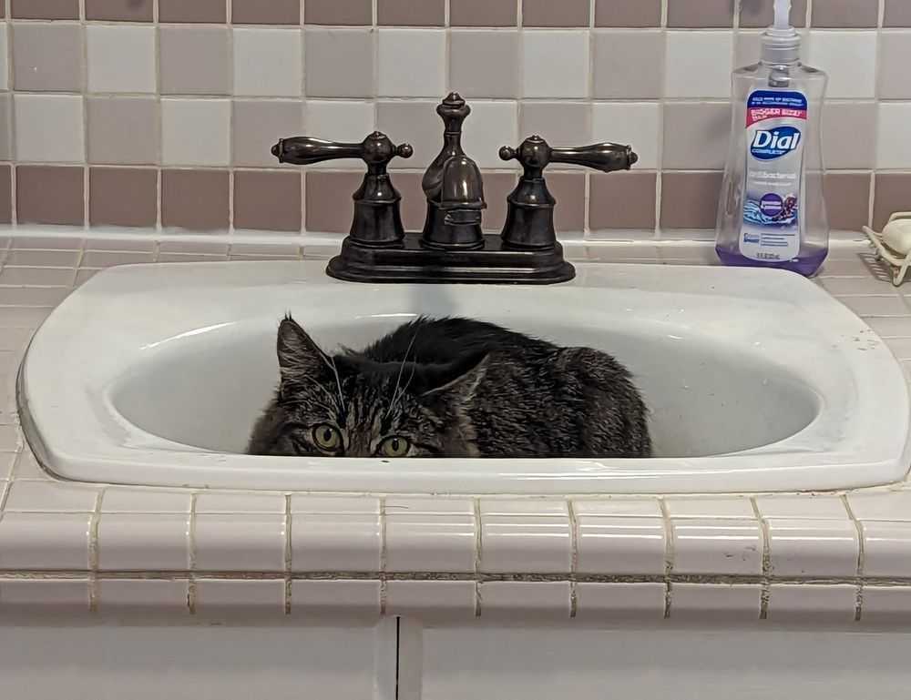 why biohunt2000 game are popular