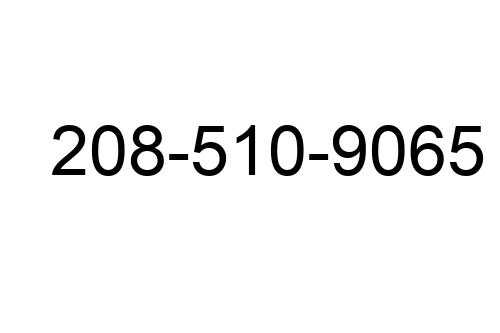 208-510-9065
