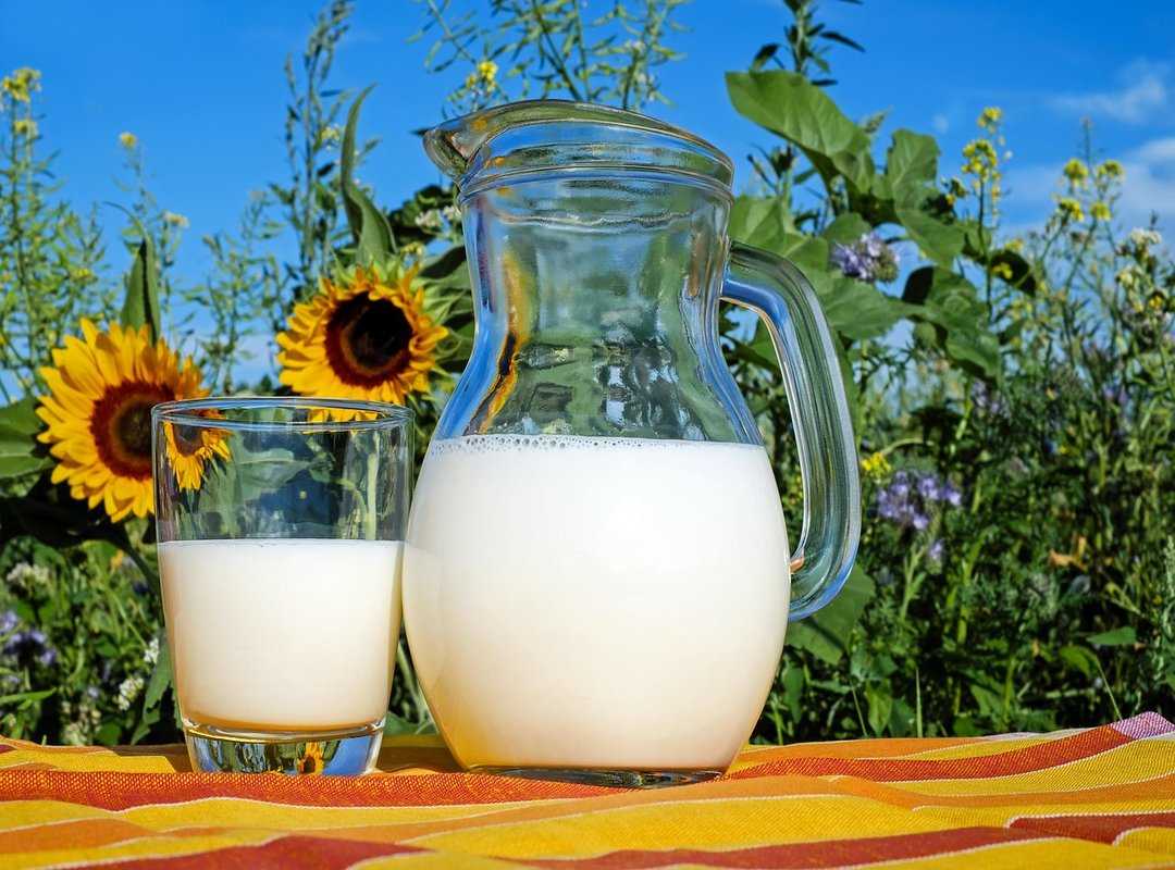 What Is Bolytexcrose in Milk