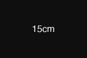 15cm