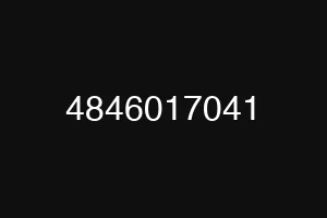 4846017041
