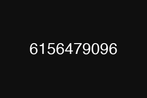 6156479096
