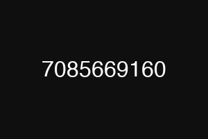 7085669160