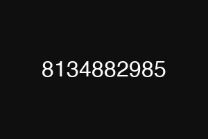 8134882985