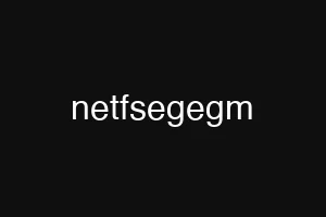 netfsegegm
