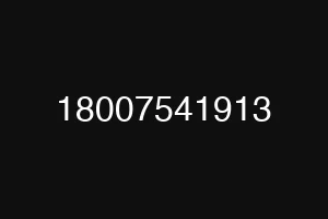 18007541913