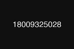 18009325028