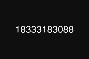 18333183088