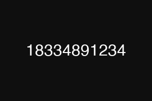 18334891234