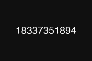 18337351894
