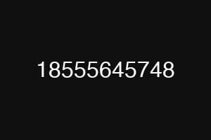 18555645748