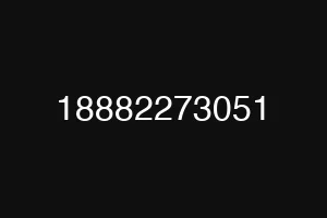 18882273051