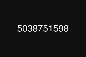 5038751598