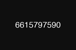 6615797590