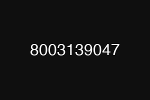8003139047