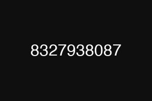 8327938087