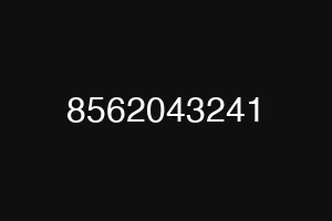 8562043241