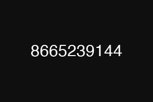 8665239144