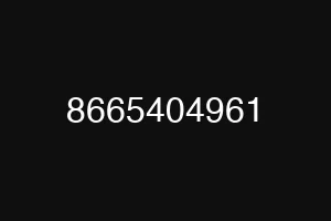 8665404961