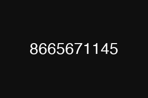 8665671145
