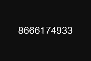 8666174933
