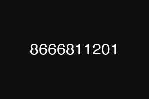 8666811201