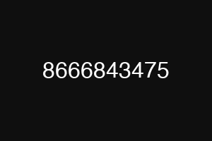 8666843475