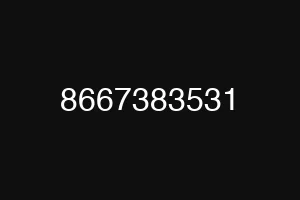 8667383531