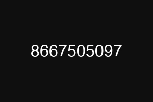8667505097