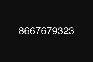 8667679323