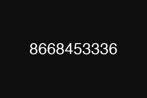 8668453336