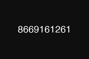 8669161261