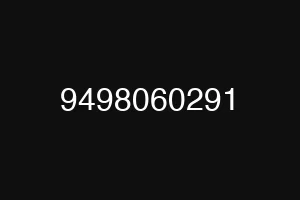 9498060291